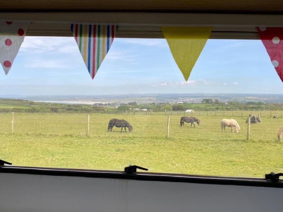 Lily Cosy Campervan With Sea Views & Amazing Sunrises St Ives  Bagian luar foto